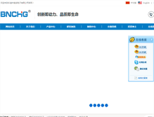 Tablet Screenshot of bnchg.com